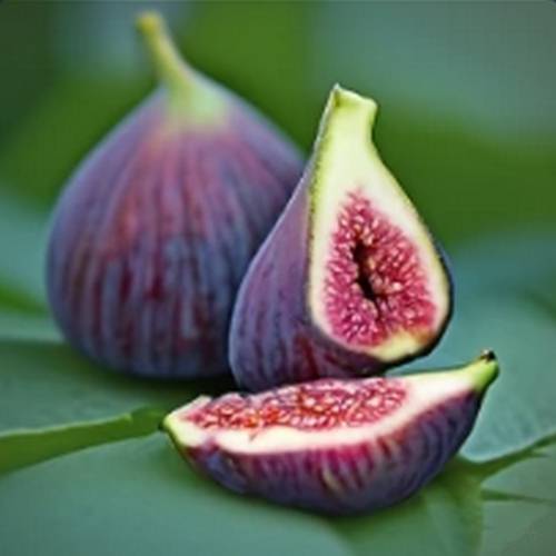 Three figs on a leaf