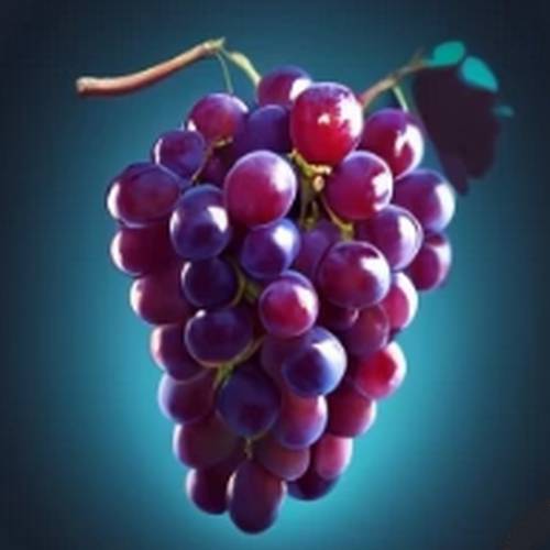 a mgnificent red blue grape