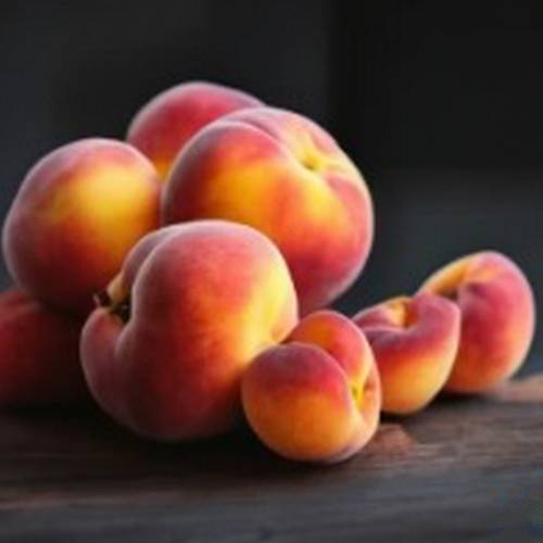 a magnificent peach varieties